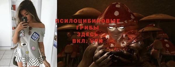 дмт Надым