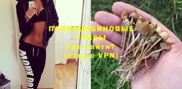 ГАЛЛЮЦИНОГЕННЫЕ ГРИБЫ Михайлов