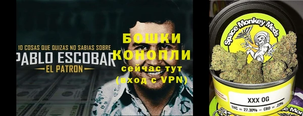 ГАЛЛЮЦИНОГЕННЫЕ ГРИБЫ Михайлов