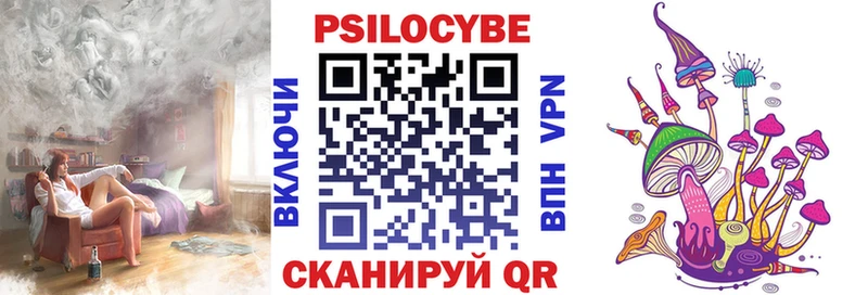 KRAKEN как зайти  Краснотурьинск  Галлюциногенные грибы мицелий 